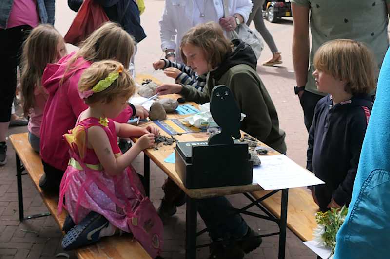 Braakballen pluizen bij de Steenuilenwerkgroep   (klik voor vergroting)