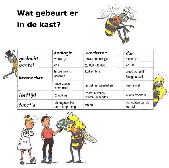 Eerst alles lezen, dan de volgende