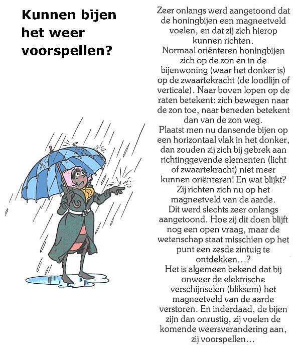 Eerst lezen, dan volgende